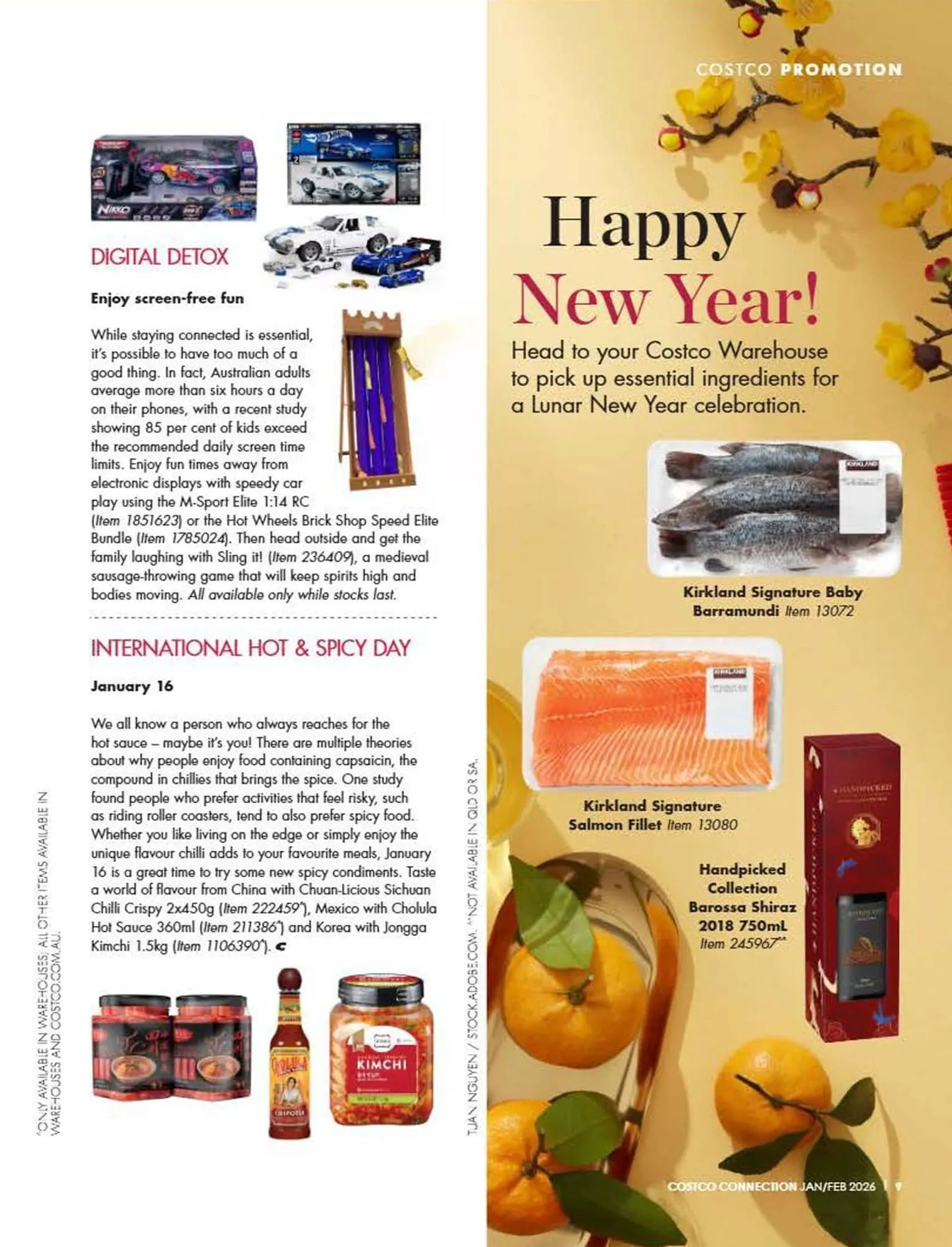 Costco catalogue - Catalogue valid from 1 January to 28 February 2026 - page 9