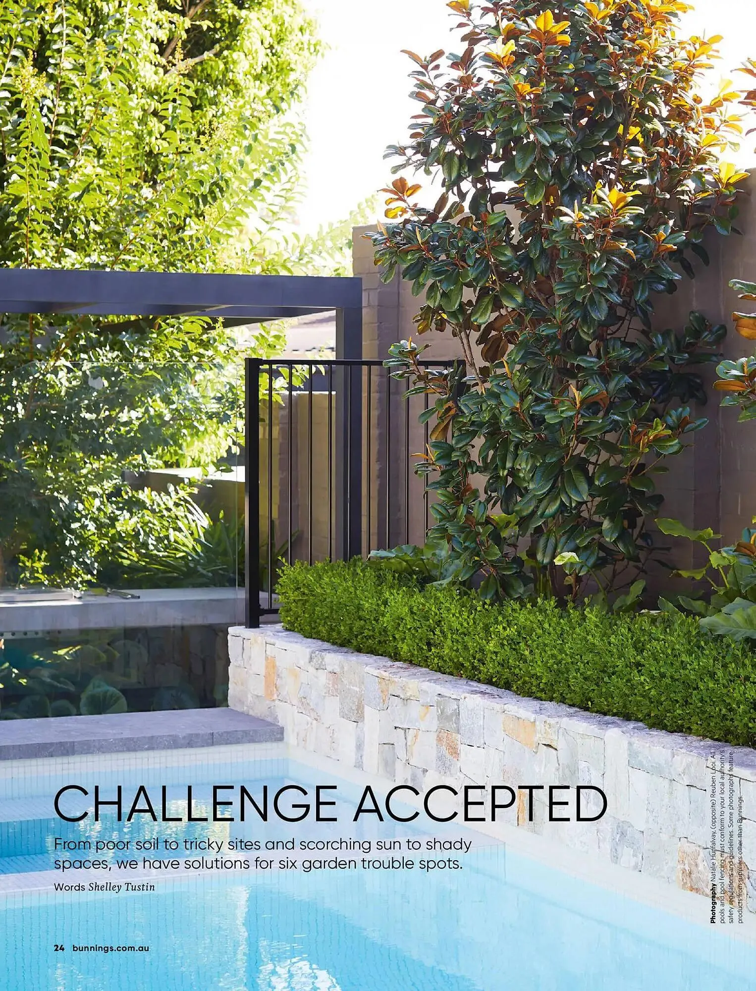 Bunnings catalogue - Catalogue valid from 31 January to 28 February 2026 - page 24