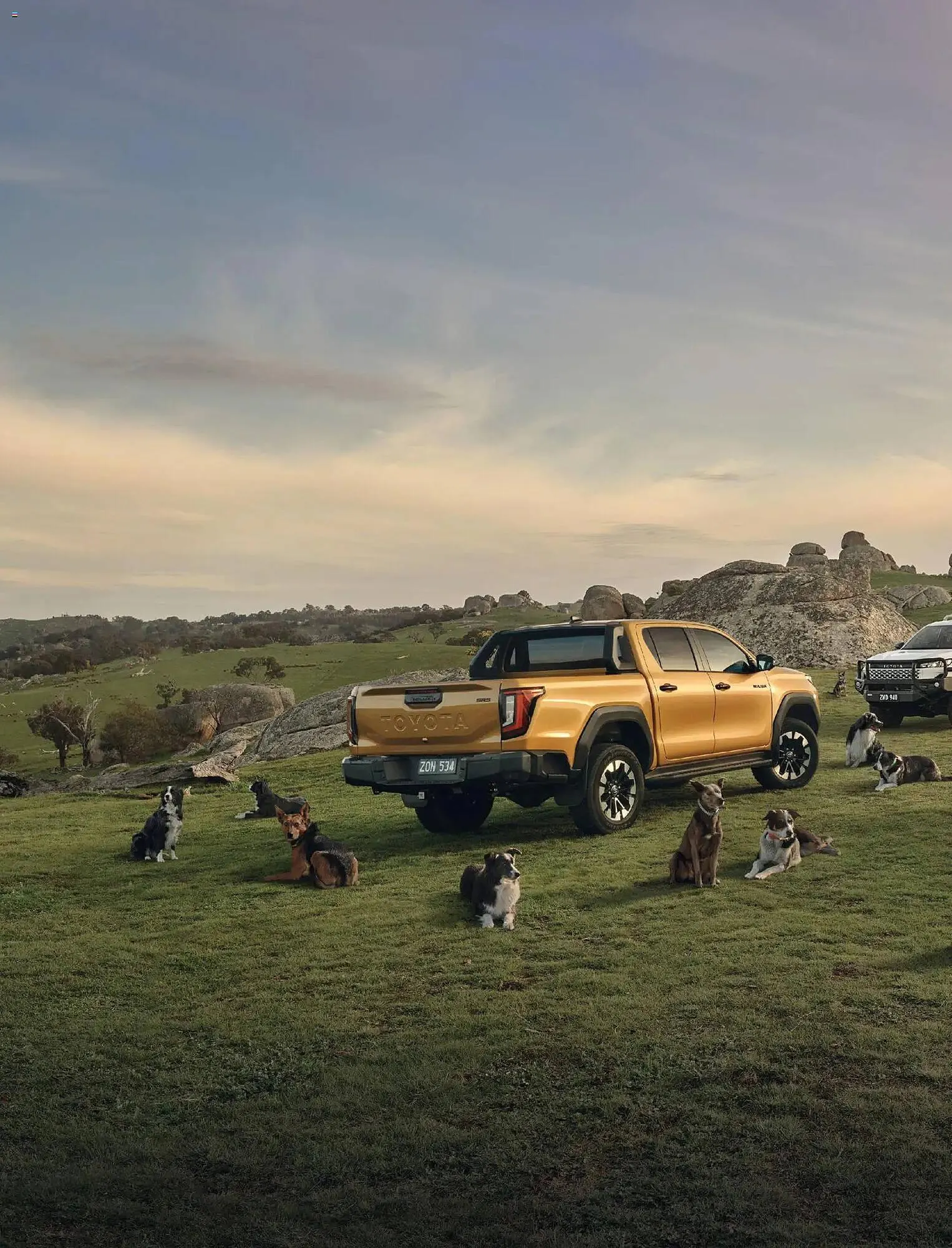 Bunnings catalogue - Catalogue valid from 31 January to 28 February 2026 - page 22