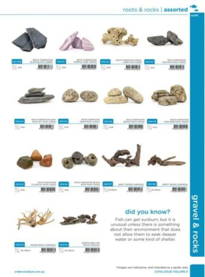 Fish Catalogue 2024 - Catalogue valid from 4 January to 28 February 2025 - page 15