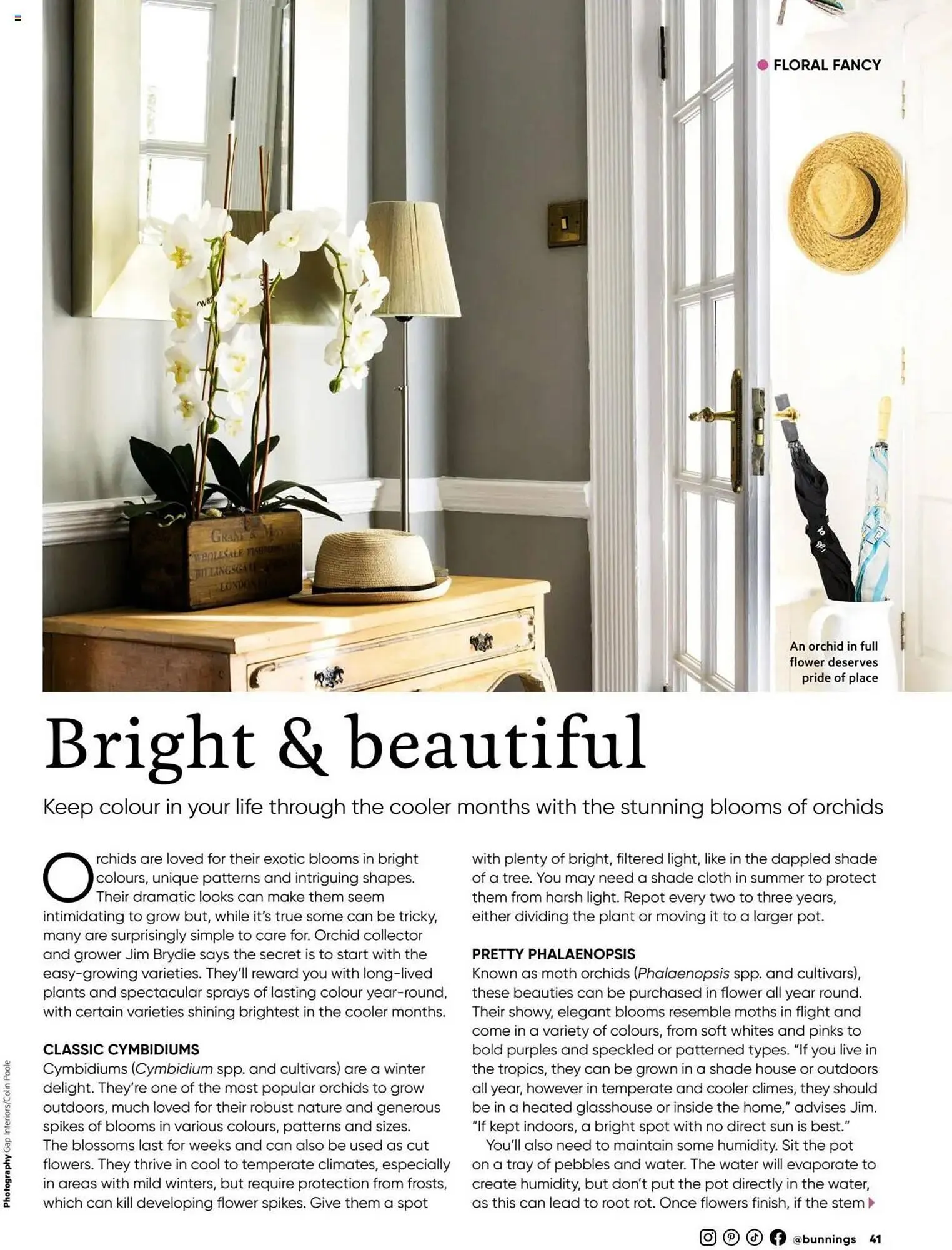 Bunnings catalogue - Catalogue valid from 1 March to 31 March 2025 - page 41