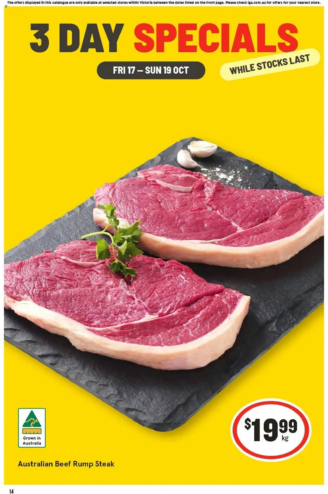 IGA catalogue - 1