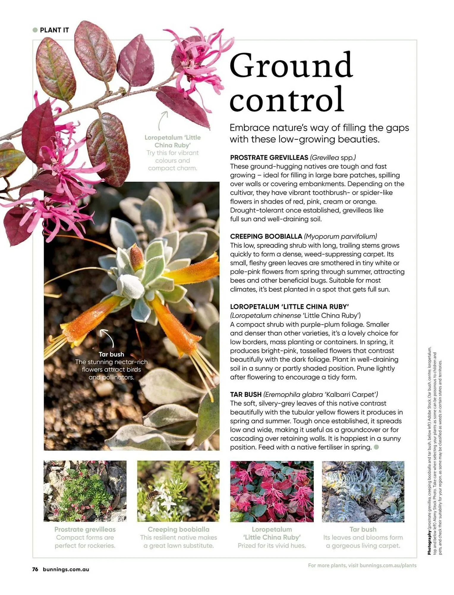 Bunnings catalogue - Catalogue valid from 1 September to 30 September 2025 - page 76