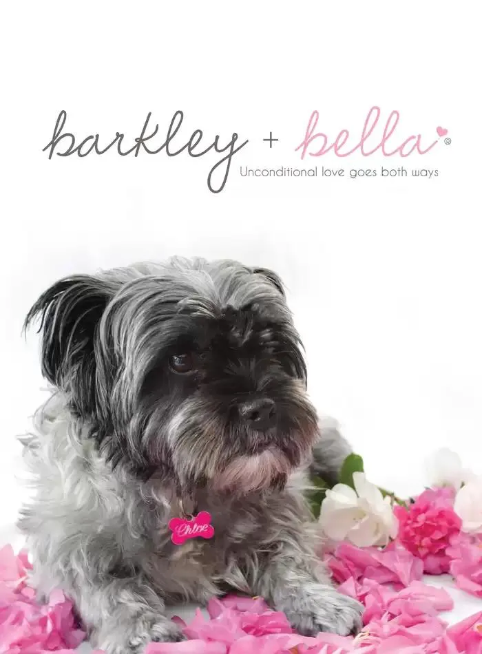 Dog Catalogue 2025 - Catalogue valid from 3 March to 31 December 2025 - page 2