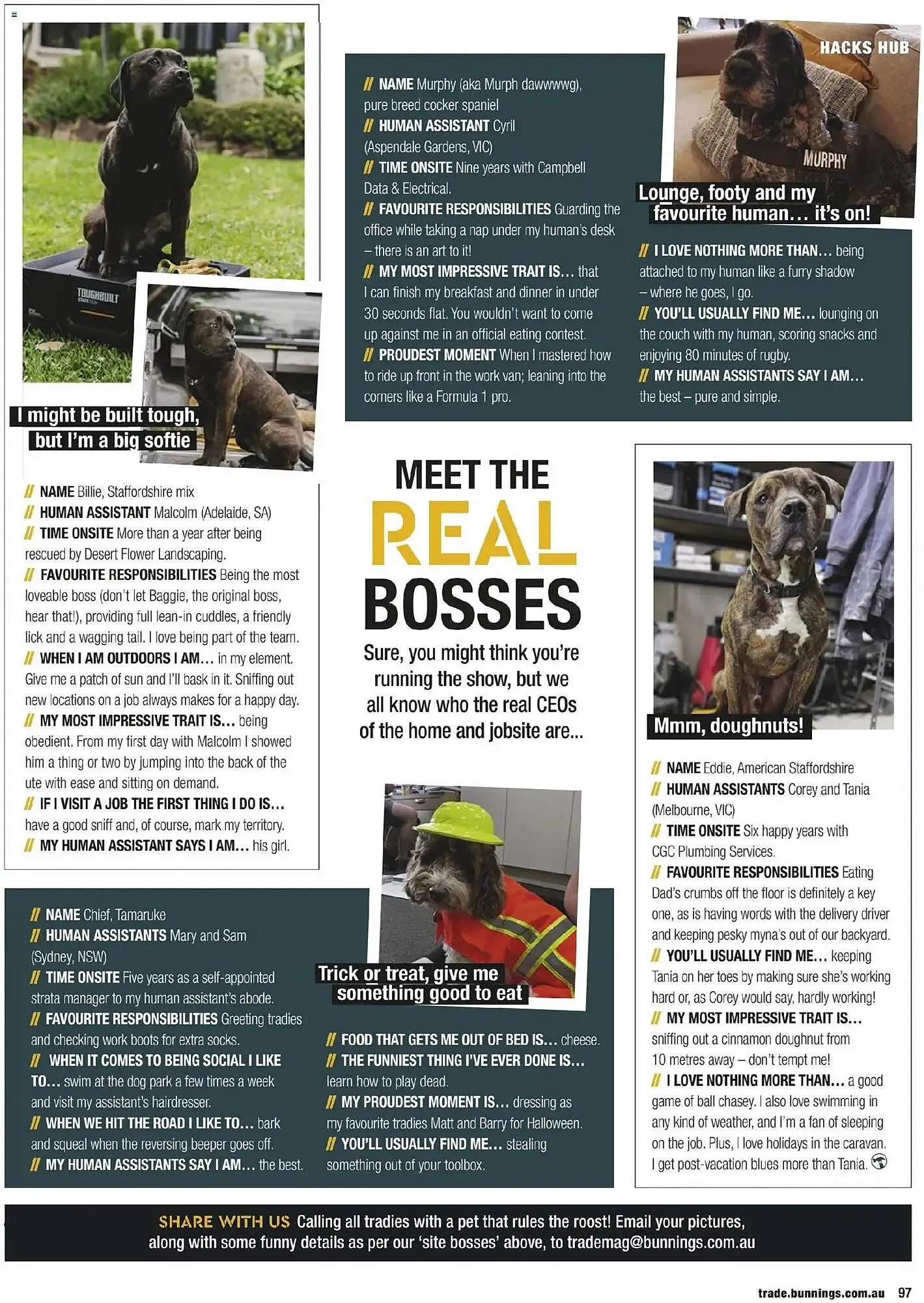 Bunnings catalogue - Catalogue valid from 31 October to 30 November 2025 - page 97