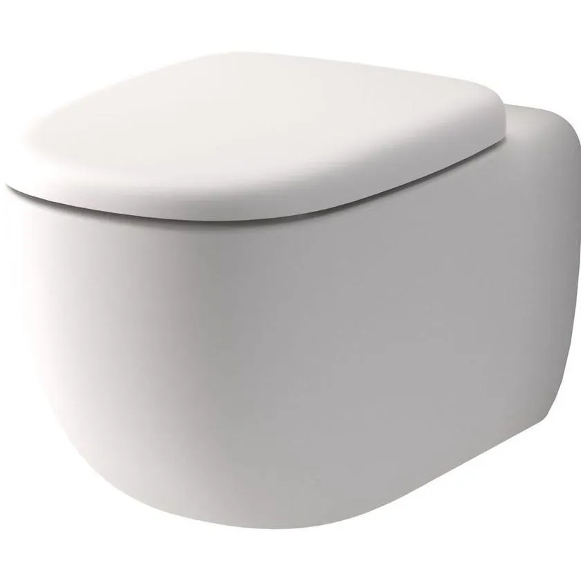 Caroma 849001MW Contura II Wall Hung Matte White Toilet and Induct Cistern - Back Entry / P Trap