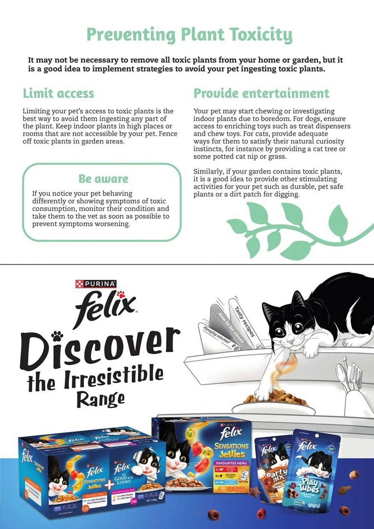 Pets Domain catalogue - Catalogue valid from 2 October to 31 December 2025 - page 15