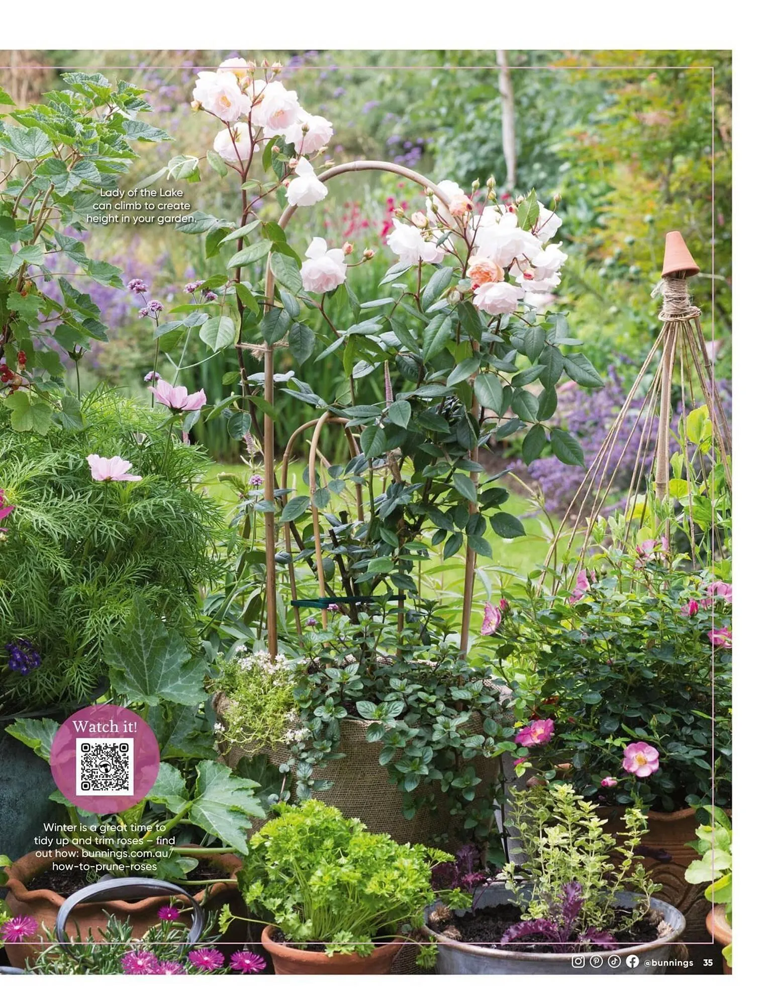 Bunnings catalogue - Catalogue valid from 1 July to 31 July 2025 - page 35