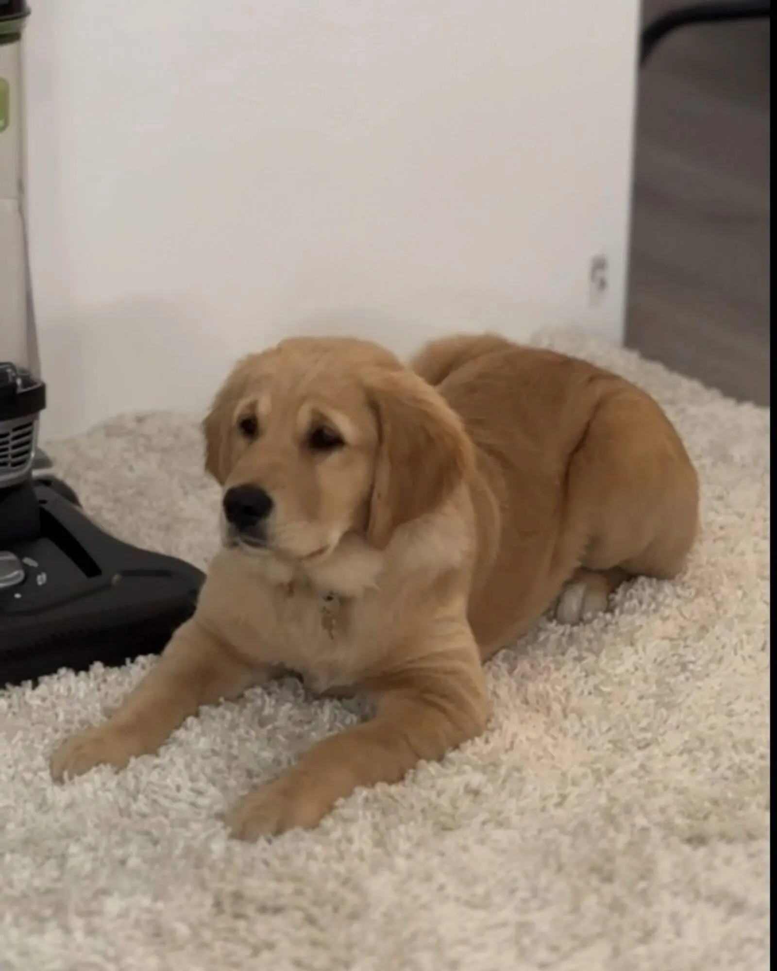 Harris Scarfe catalogue - Catalogue valid from 10 June to 16 June 2025 - page 2