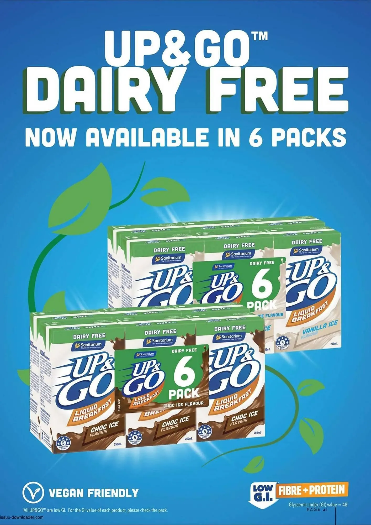 IGA catalogue - Catalogue valid from 10 March to 30 April 2025 - page 41