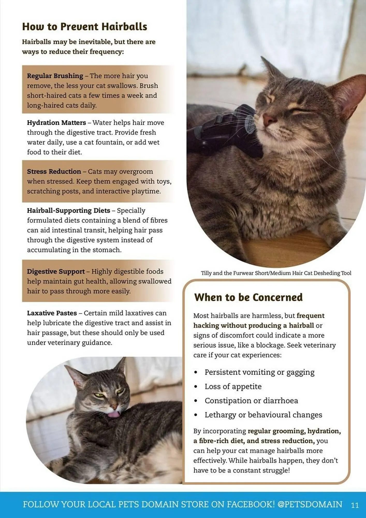 Pets Domain catalogue - Catalogue valid from 1 April to 30 June 2025 - page 11