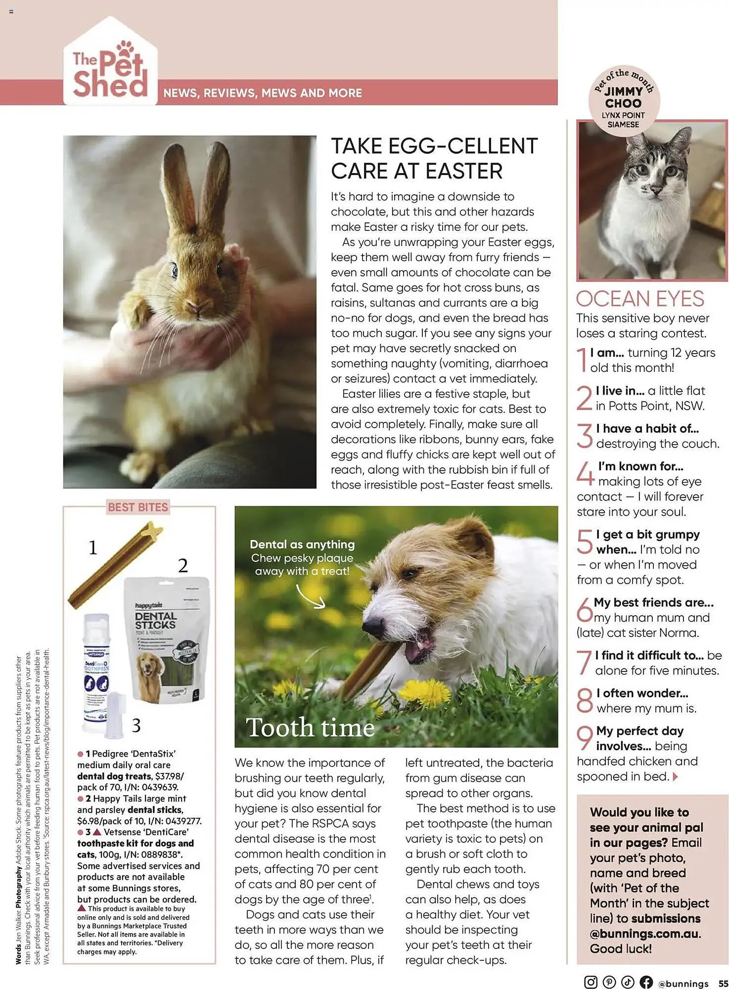 Bunnings catalogue - Catalogue valid from 28 February to 31 March 2026 - page 55