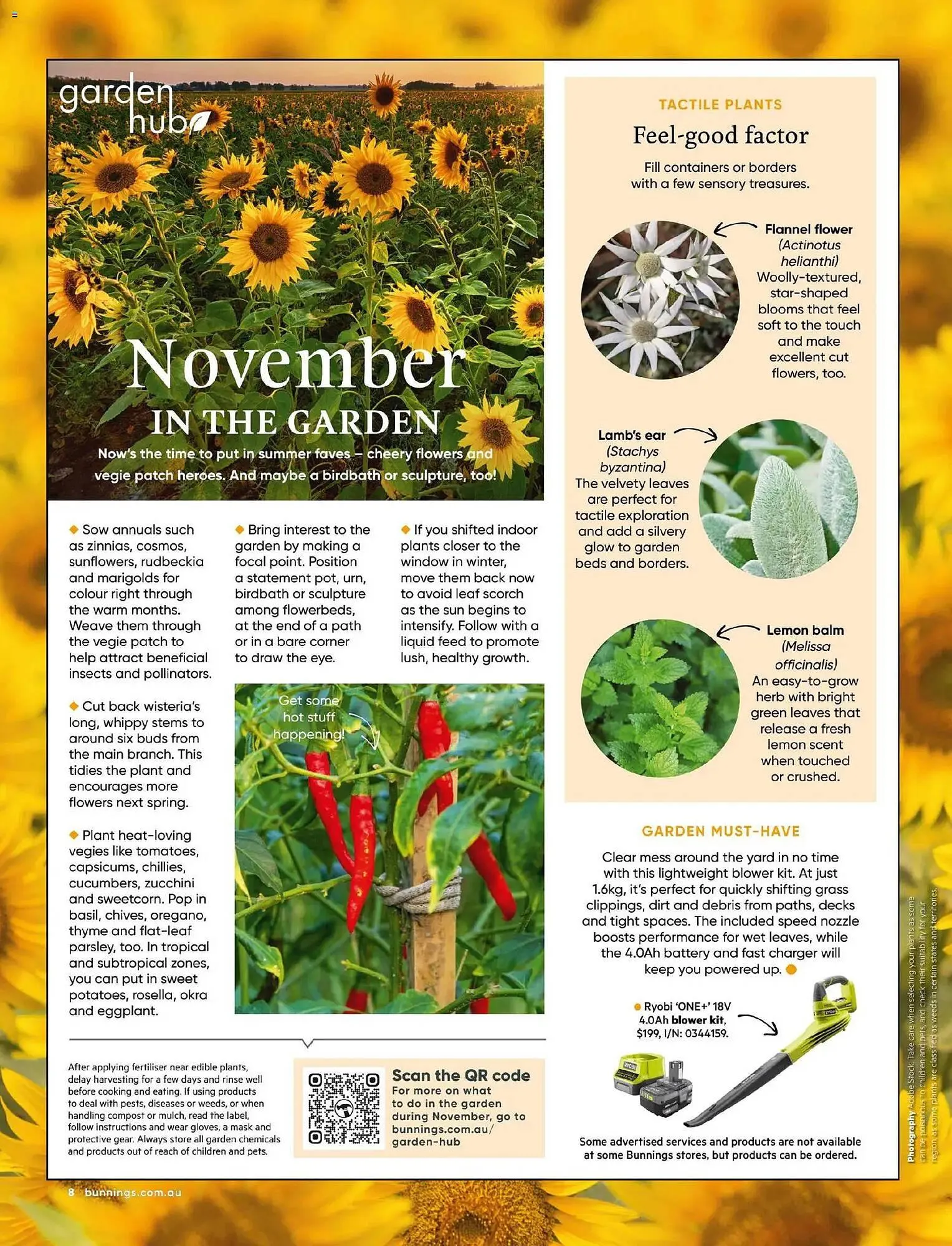 Bunnings catalogue - Catalogue valid from 31 October to 30 November 2025 - page 8