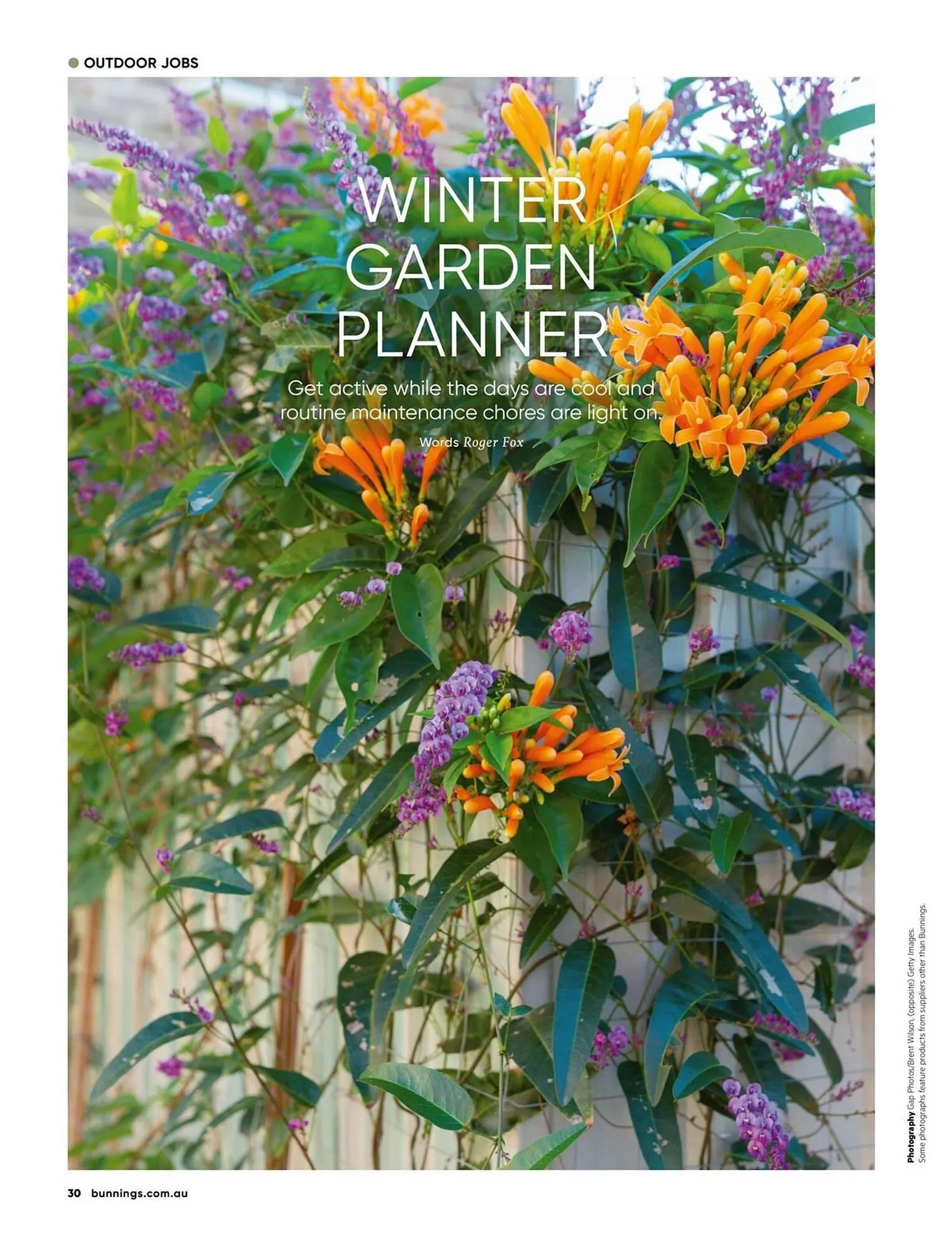 Bunnings catalogue - Catalogue valid from 1 July to 31 July 2025 - page 30