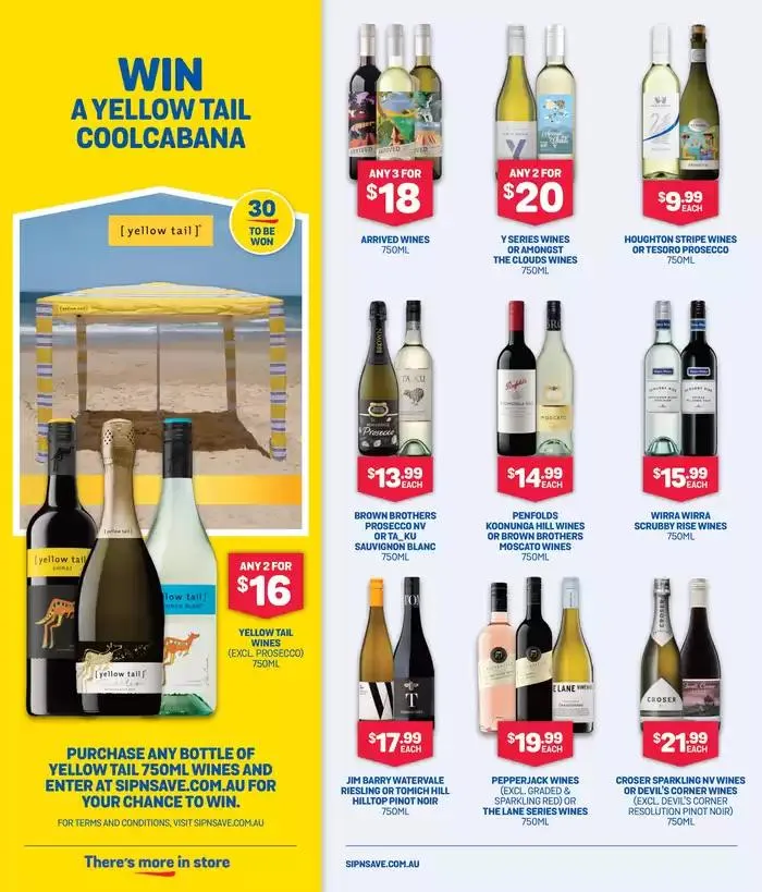 There's More In Store With Red Hot Summer Deals - Catalogue valid from 22 January to 11 February 2025 - page 9