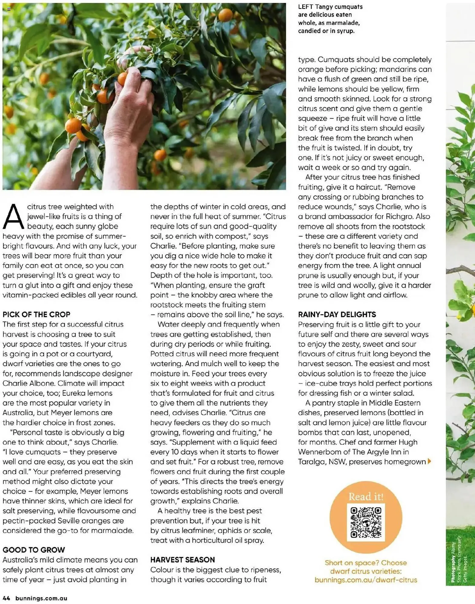 Bunnings catalogue - Catalogue valid from 1 May to 30 June 2025 - page 44