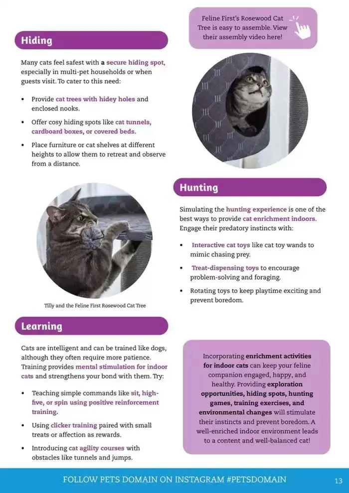 April - June 2025 - Catalogue valid from 1 April to 30 June 2025 - page 5