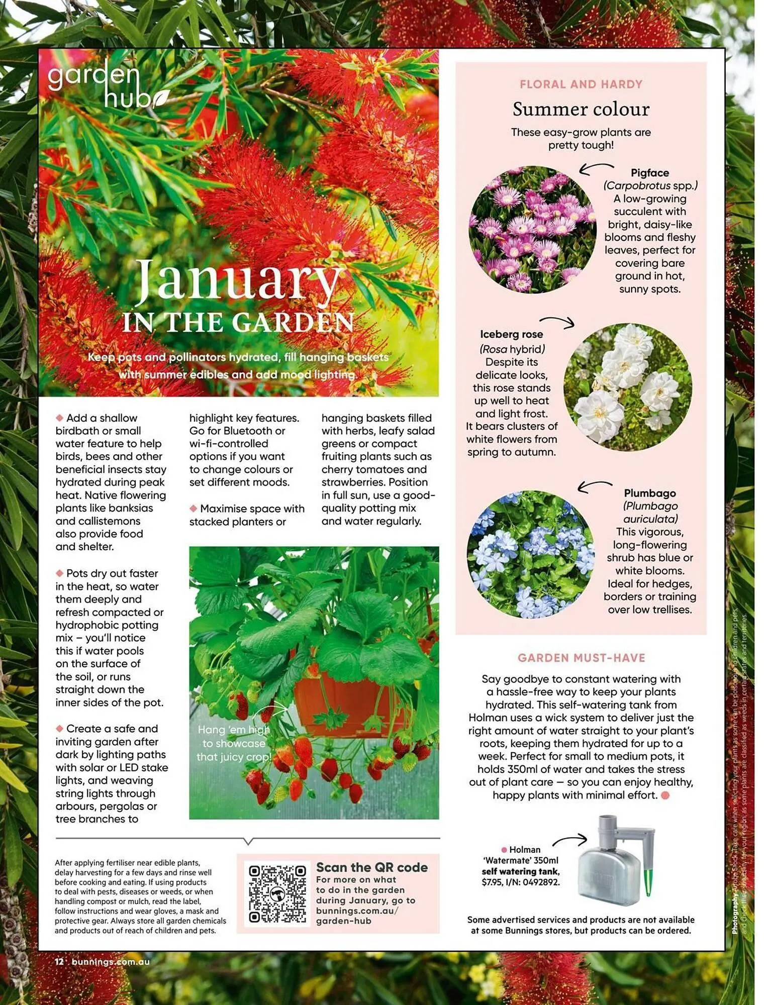 Bunnings catalogue - Catalogue valid from 1 January to 31 January 2026 - page 12