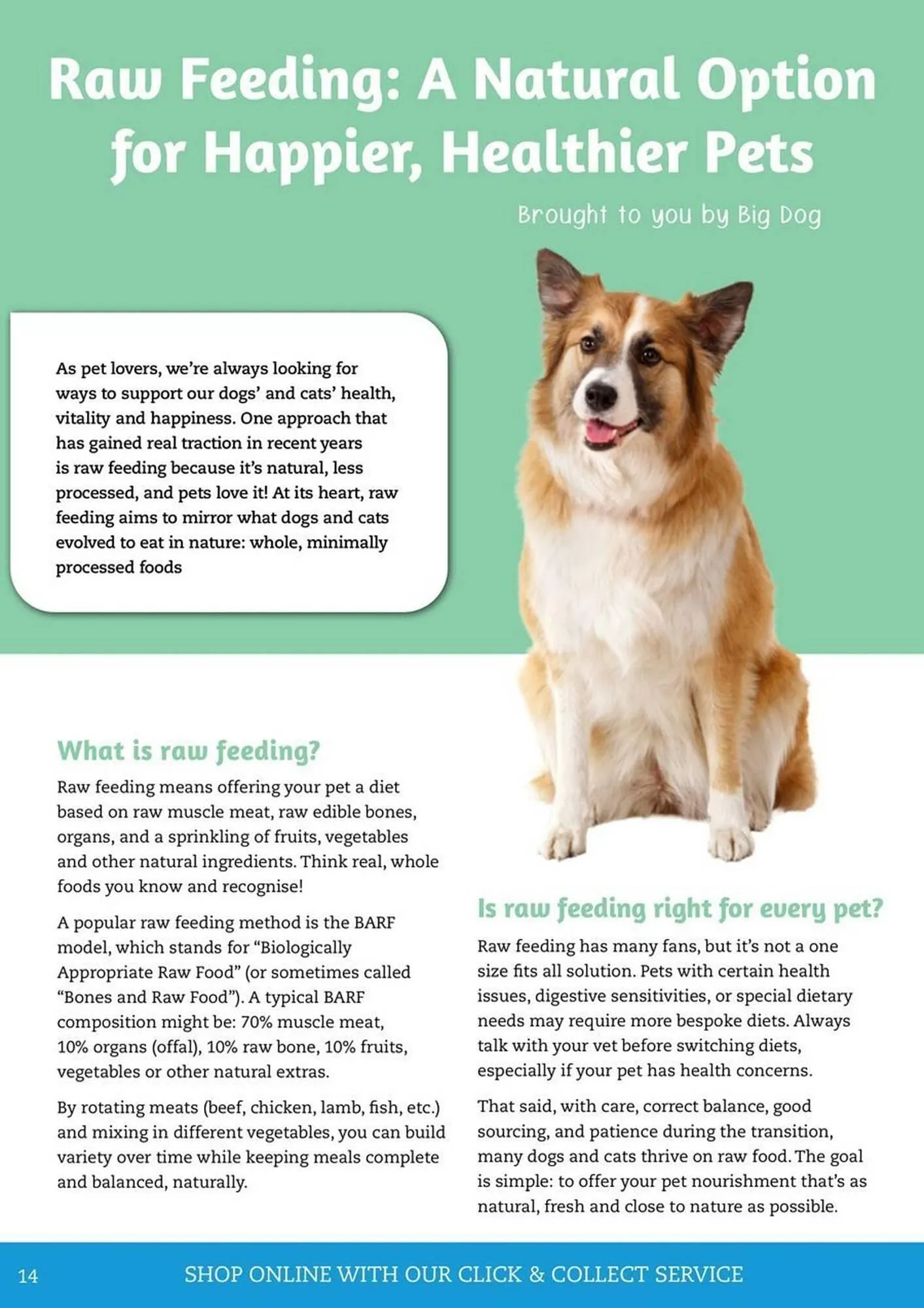 Pets Domain catalogue - Catalogue valid from 1 January to 31 March 2026 - page 14