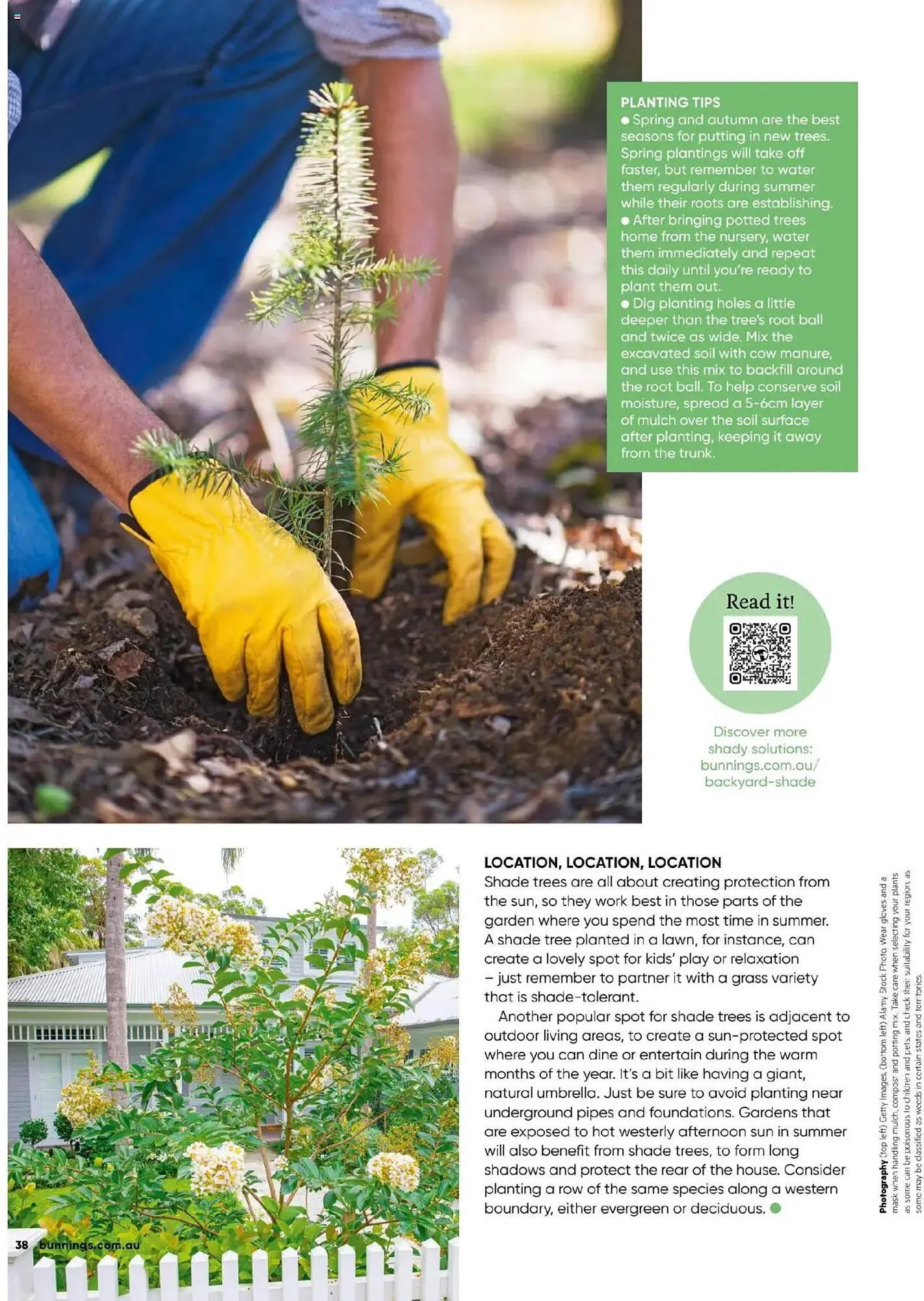 Bunnings catalogue - Catalogue valid from 30 September to 31 October 2025 - page 38