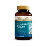 Herbs Of Gold B Sustained Release Tablets 60