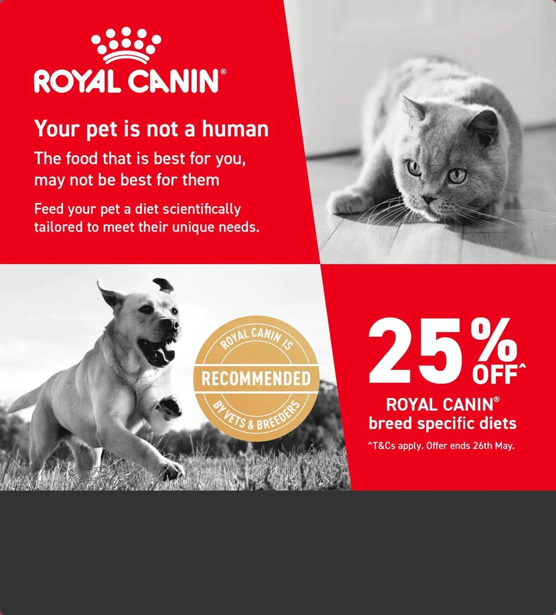 Pet stock catalogue - Catalogue valid from 8 May to 21 May 2025 - page 1