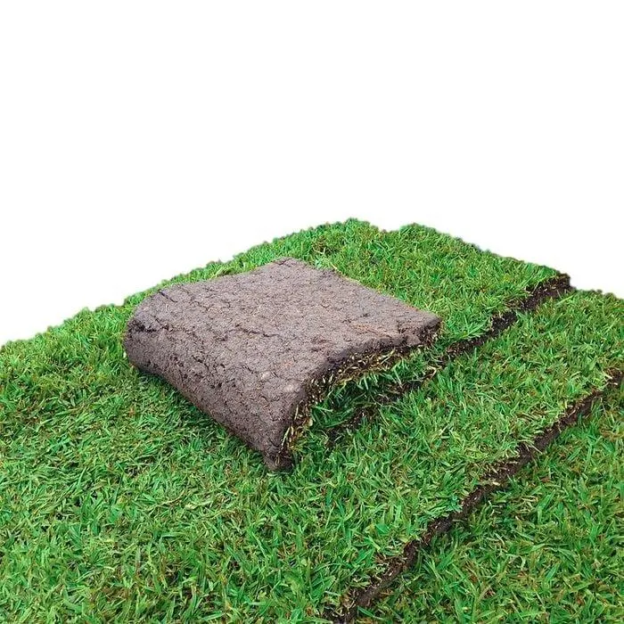 Sir Walter 0.5m² DNA Certified Soft Leaf Buffalo Turf Slab
