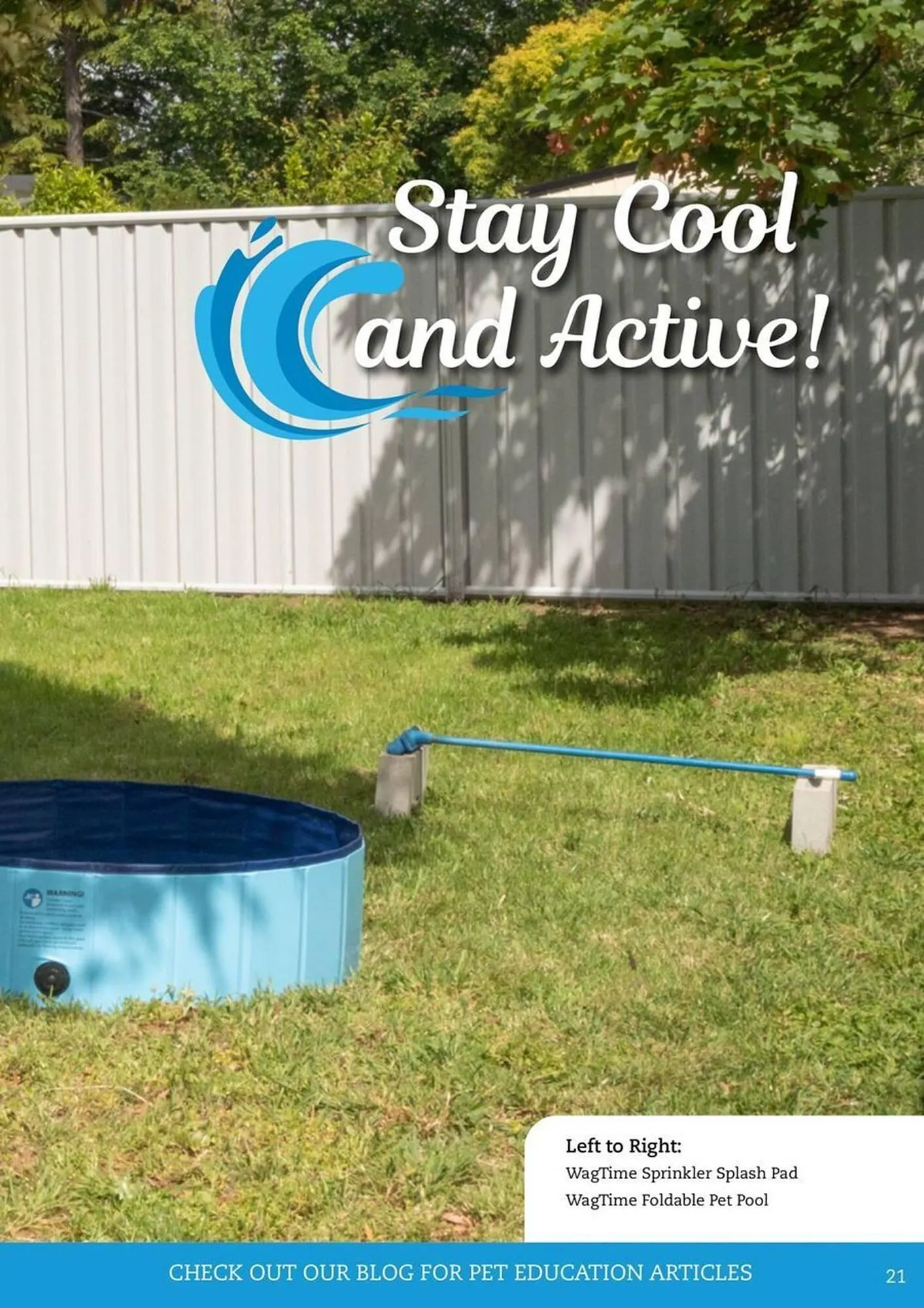 Pets Domain catalogue - Catalogue valid from 1 January to 31 March 2026 - page 21