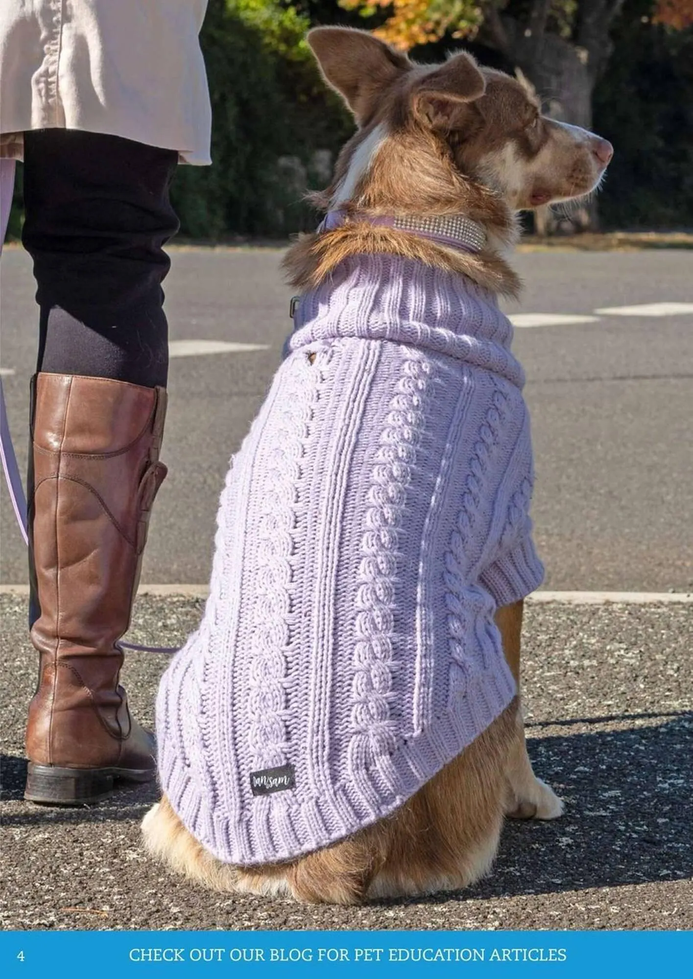 Pets Domain catalogue - Catalogue valid from 1 July to 30 September 2025 - page 4