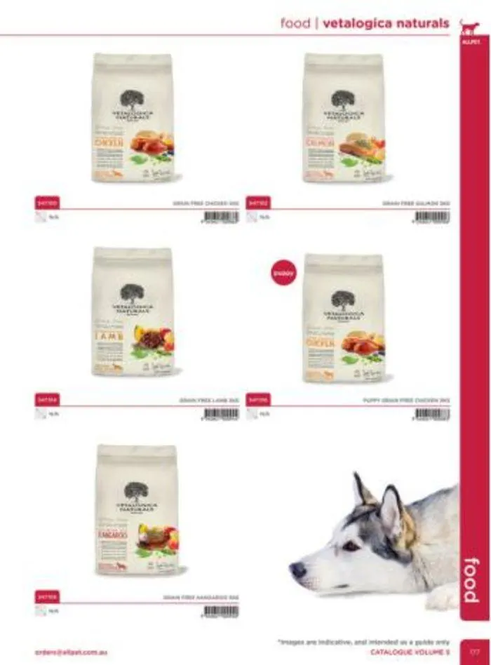 Dog Catalogue 2024 - Catalogue valid from 4 January to 28 February 2025 - page 175