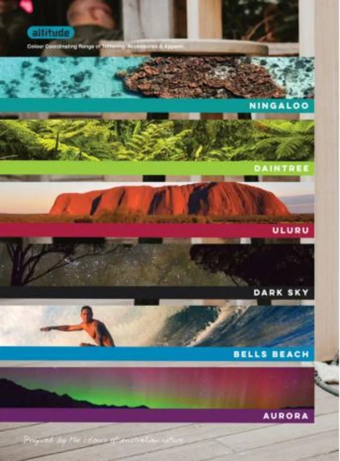 Dog Catalogue 2024 - Catalogue valid from 4 January to 31 December 2024 - page 62