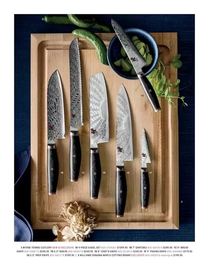 Spring 2025 - Catalogue valid from 12 December to 28 February 2025 - page 31