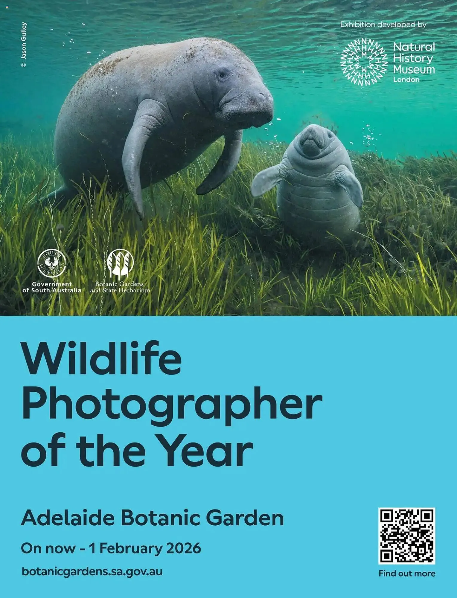 Foodland catalogue - Catalogue valid from 30 November to 28 February 2026 - page 64