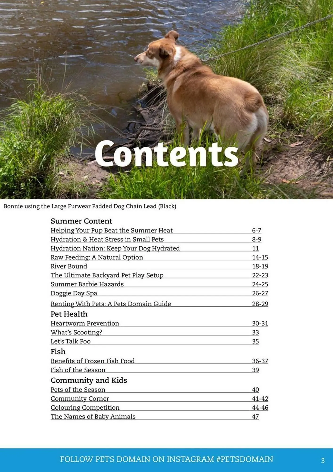 Pets Domain catalogue - Catalogue valid from 1 January to 31 March 2026 - page 3