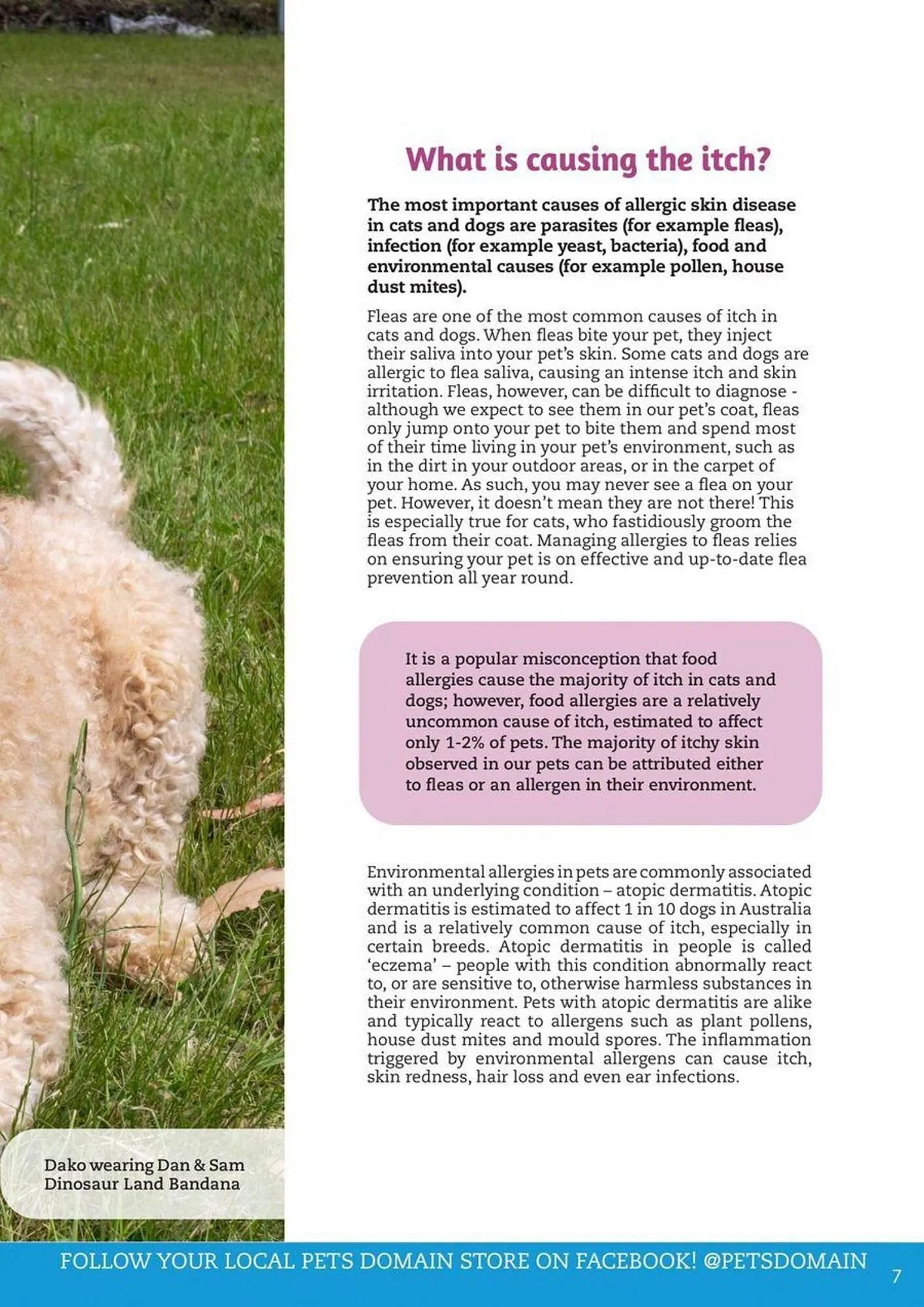 Pets Domain catalogue - Catalogue valid from 2 October to 31 December 2025 - page 7