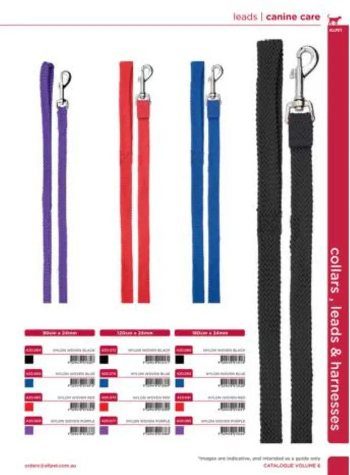 Dog Catalogue 2024 - Catalogue valid from 4 January to 31 December 2024 - page 43