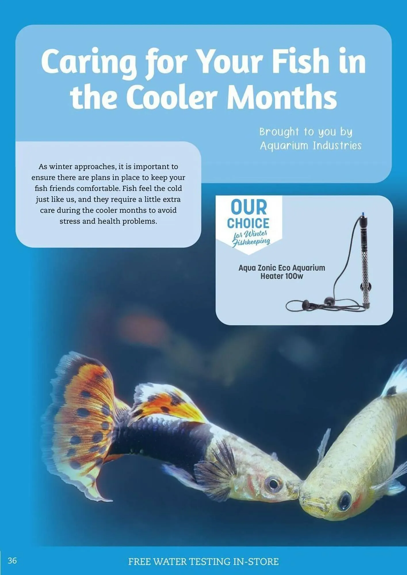 Pets Domain catalogue - Catalogue valid from 1 July to 30 September 2025 - page 36