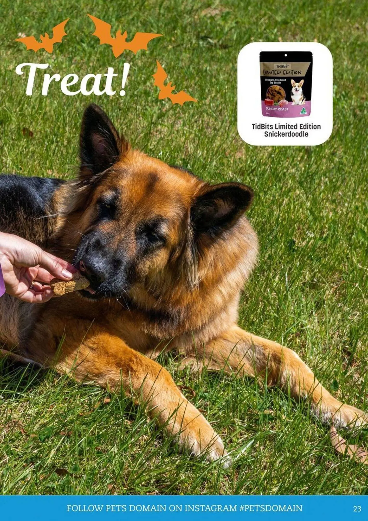 Pets Domain catalogue - Catalogue valid from 2 October to 31 December 2025 - page 23