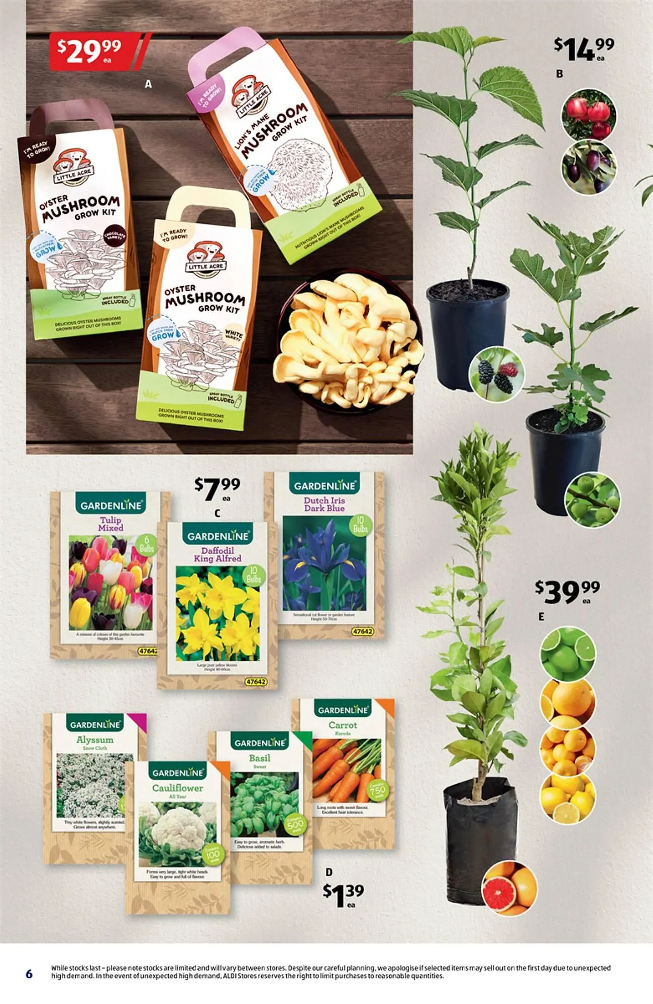 ALDI catalogue - Catalogue valid from 2 April to 8 April 2025 - page 6