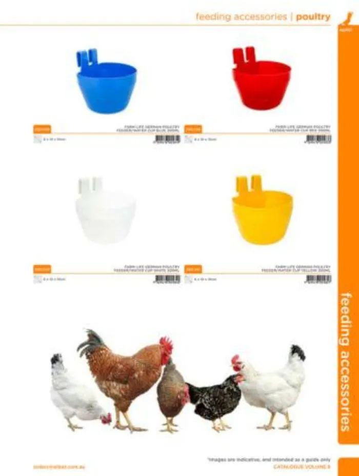 Bird Catalogue 2024 - Catalogue valid from 4 January to 28 February 2025 - page 29