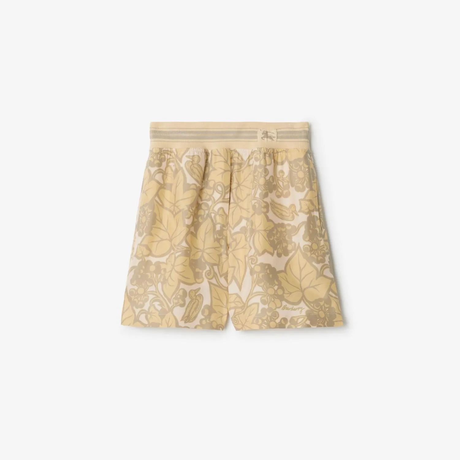 Ivy Silk Shorts