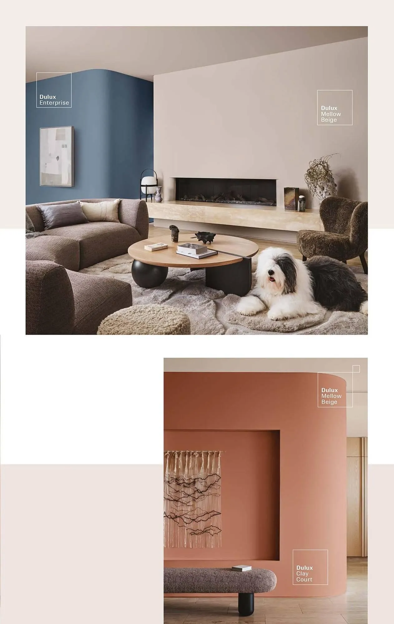 Dulux catalogue - Catalogue valid from 8 January to 31 December 2025 - page 5