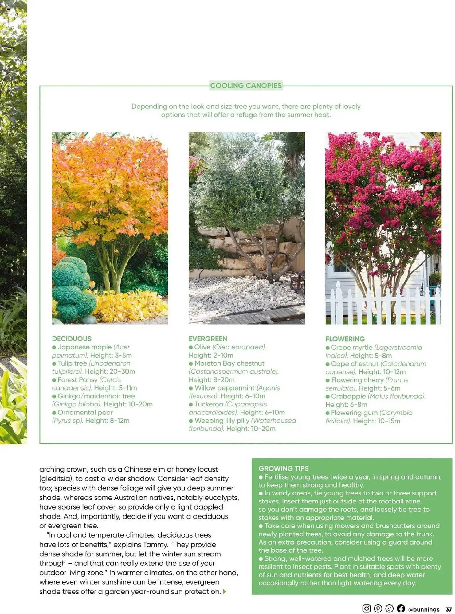 Bunnings catalogue - Catalogue valid from 30 September to 31 October 2025 - page 37