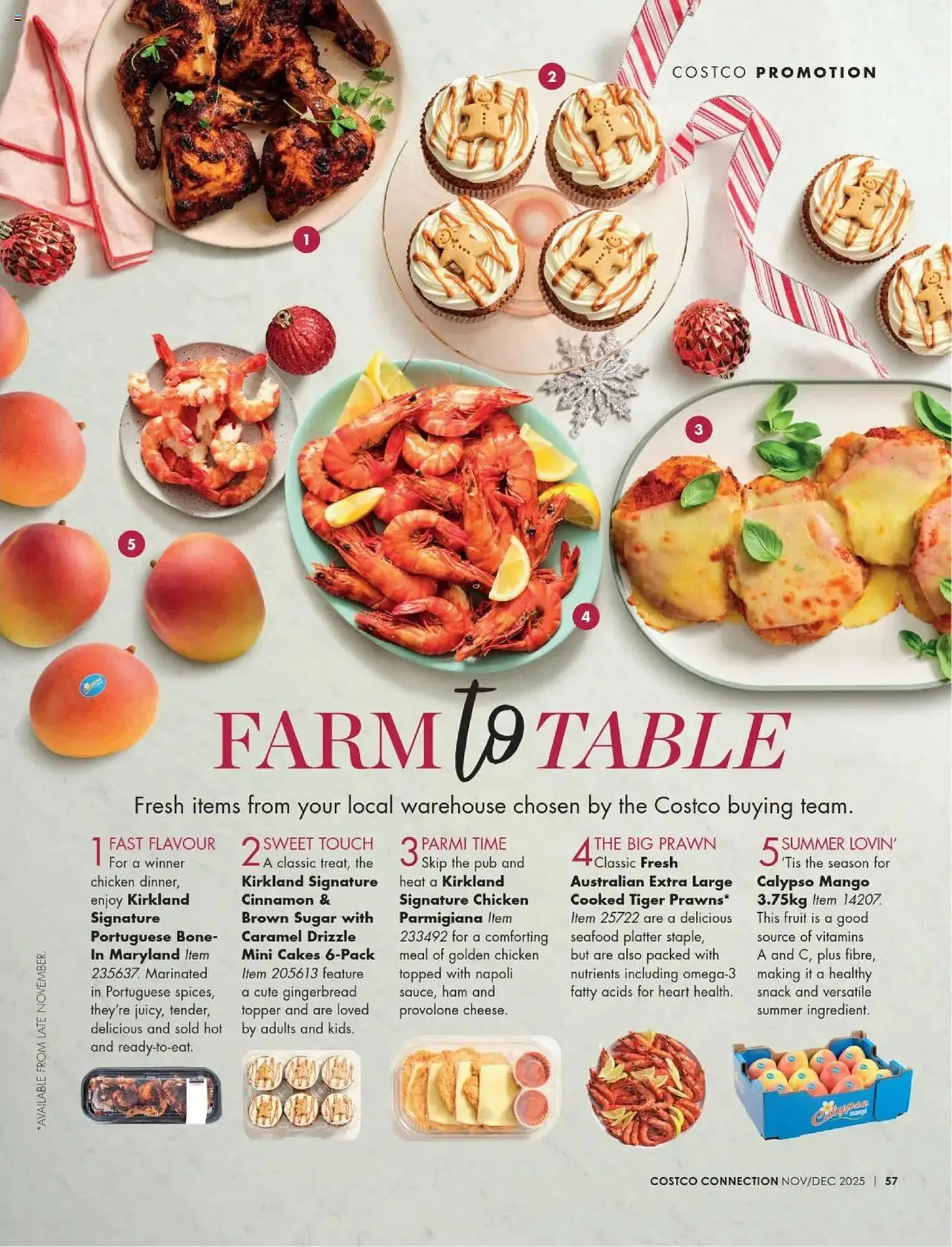 Costco catalogue - Catalogue valid from 31 October to 31 December 2025 - page 113