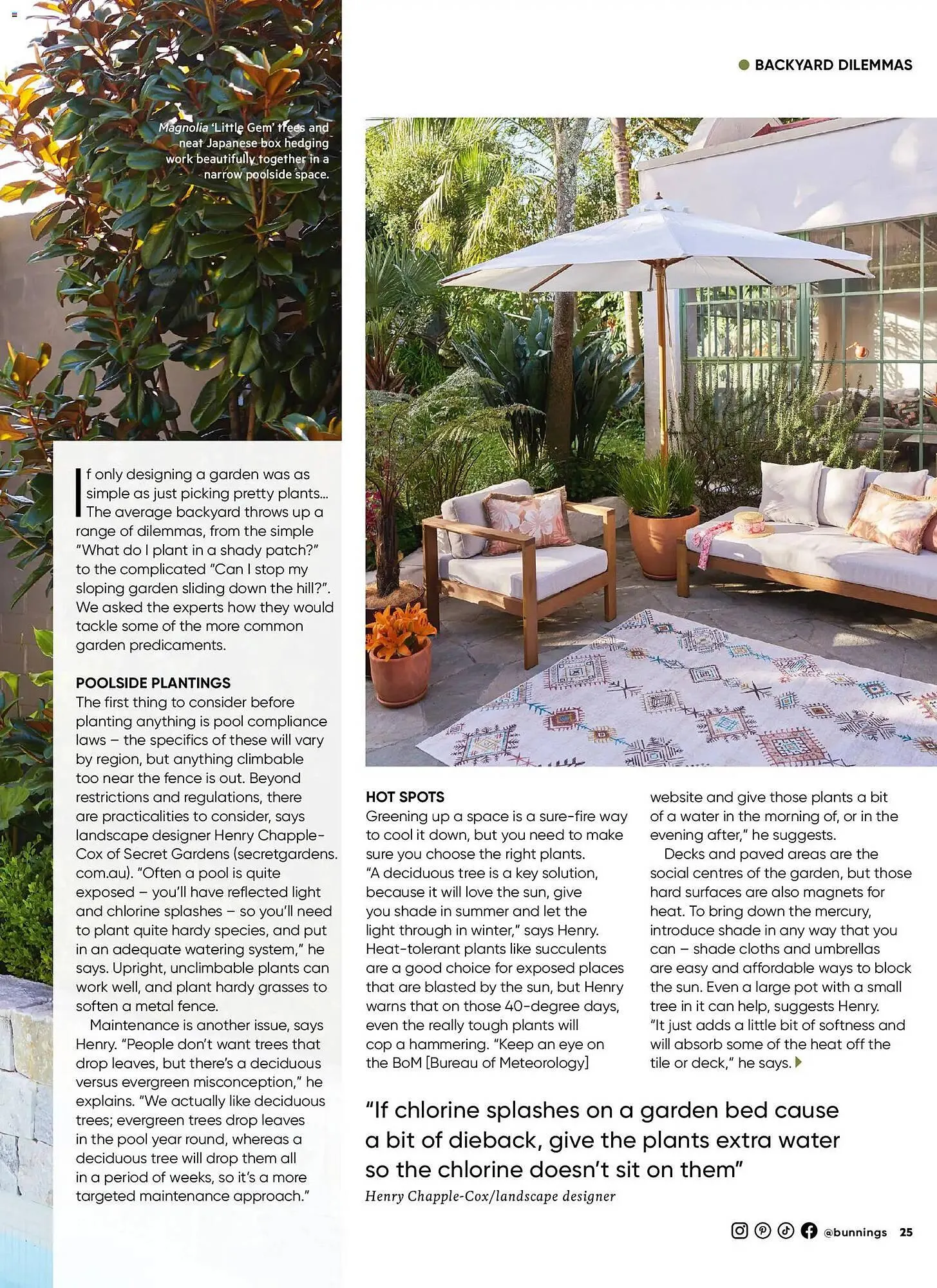 Bunnings catalogue - Catalogue valid from 31 January to 28 February 2026 - page 25