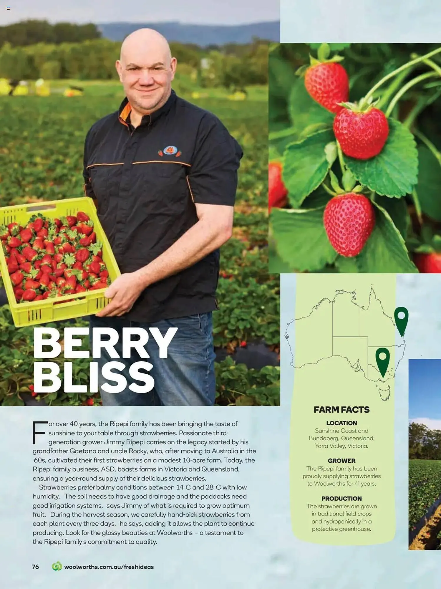 Woolworths catalogue - Catalogue valid from 31 July to 31 August 2025 - page 76