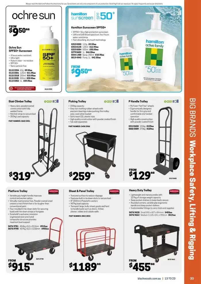 Big Brands, Endless Solutions - Catalogue valid from 10 February to 23 March 2025 - page 33