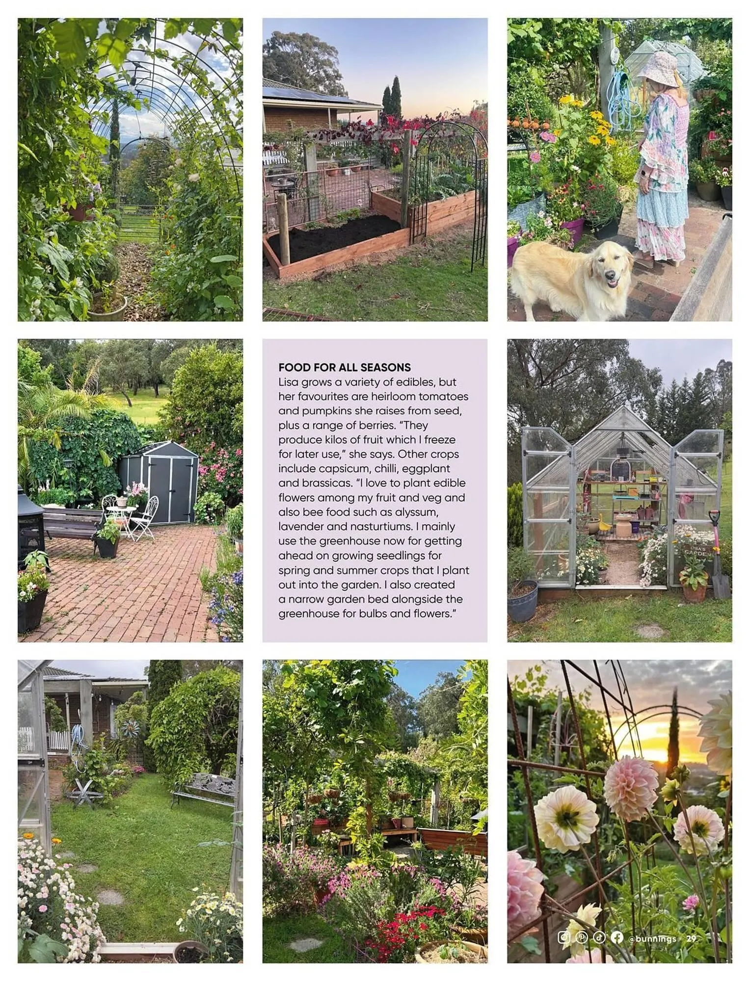 Bunnings catalogue - Catalogue valid from 1 January to 31 January 2026 - page 29