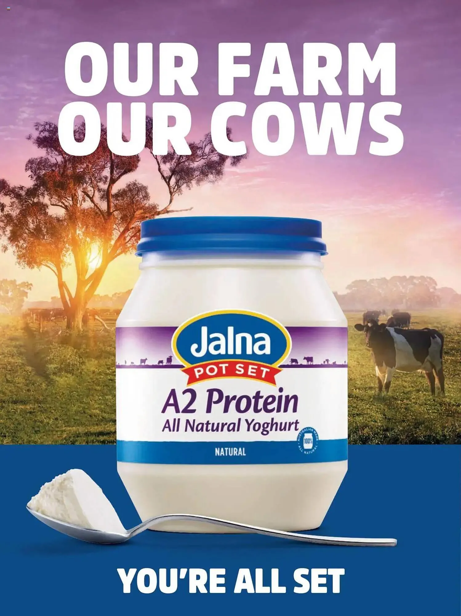 Woolworths catalogue - Catalogue valid from 1 March to 30 March 2025 - page 231