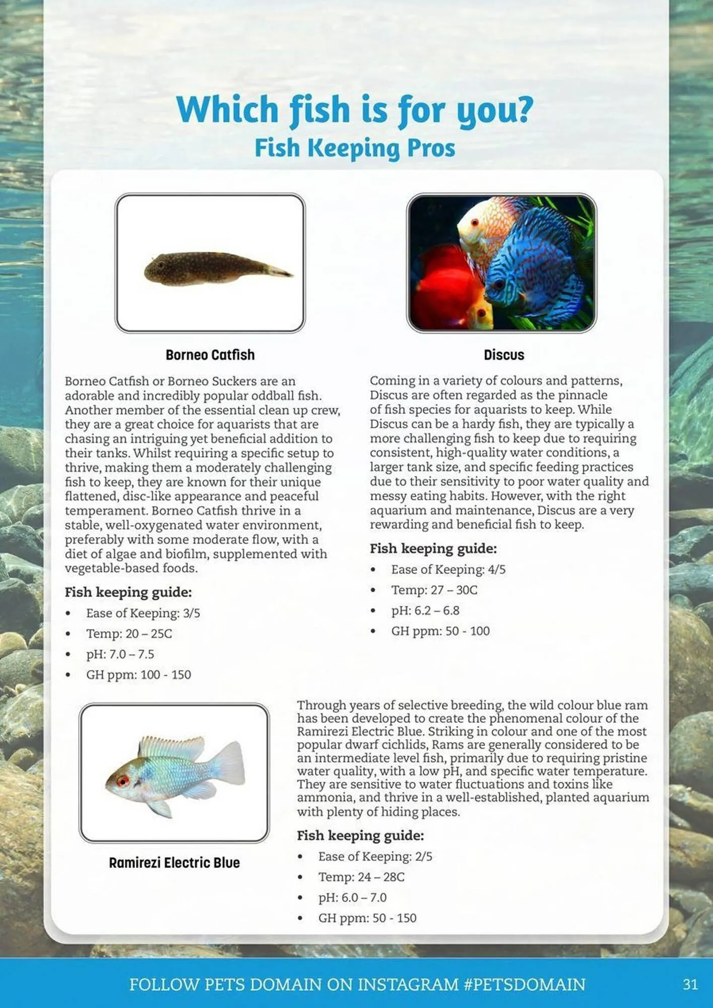 Pets Domain catalogue - Catalogue valid from 2 October to 31 December 2025 - page 31